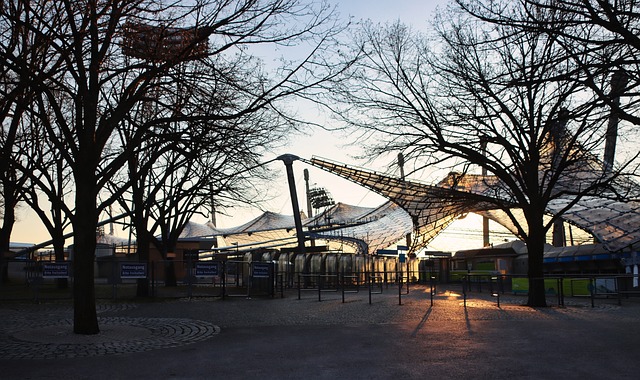 而今年的附 而今年的附