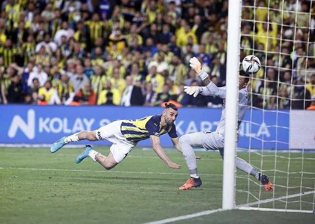 运动员的健 运动员的健