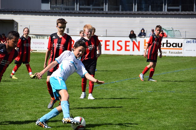 只有传统和 只有传统和