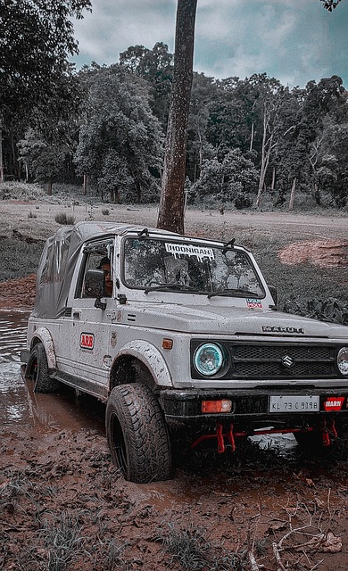 可动摇的位 可动摇的位